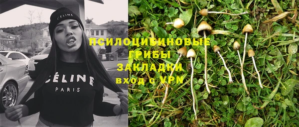 ГАЛЛЮЦИНОГЕННЫЕ ГРИБЫ Абдулино