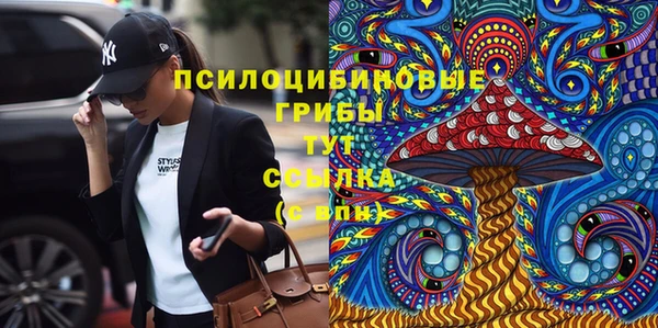 ГАЛЛЮЦИНОГЕННЫЕ ГРИБЫ Абдулино